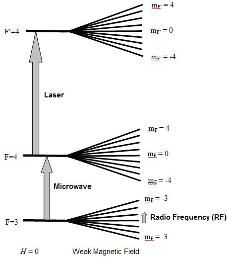 Zeeman splitting of hyperfine levels and laser, microwave, and RF ...