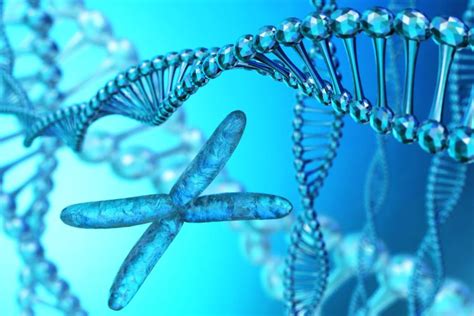 Complete DNA sequence of the X chromosome revealed