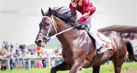 Kentucky Derby Traditions: The History Behind The Run For The Roses ...