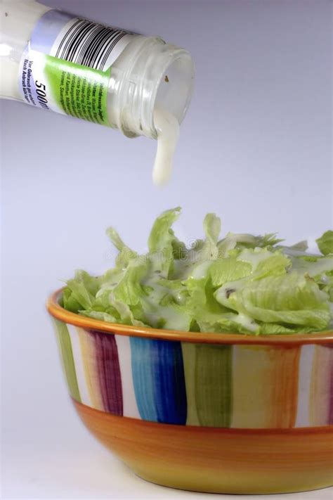 Bowl of Salad with Dressing Stock Image - Image of ingredient, cooking ...