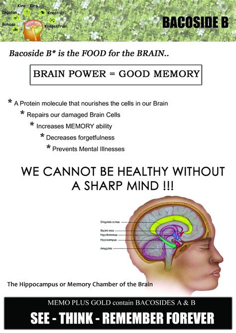 Memo Plus Gold: Memo Plus Gold for Healthier Brain