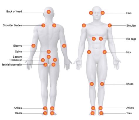 Human Body Diagrams For Wound Care