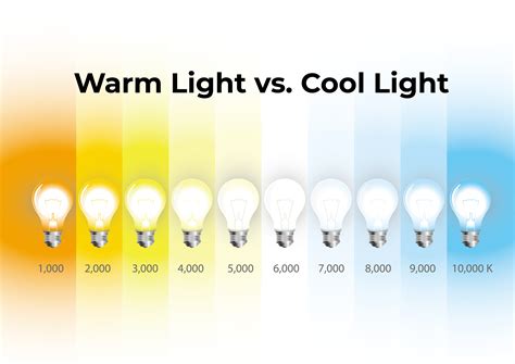 Warm Light vs. Cool Light: Which One to Choose?