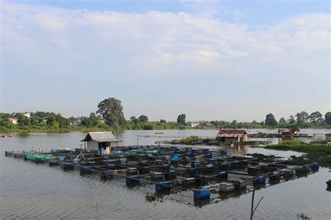 5 Tempat Wisata di Kota Jambi, Ayo ke Sini Setelah Pandemi! - iluvtari