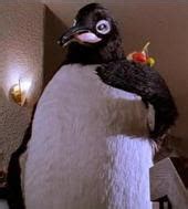 Billy Madison Penguin Quotes. QuotesGram