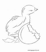 Baby Chick Hatching From Egg Coloring Page  Free Printable Pages sketch template