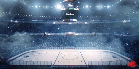 What Are The Best Seats For A Hockey Game? – Hockey Brief