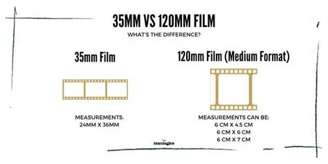 The 12 Best 35mm Film In Color For Gorgeous Images - The Mandagies