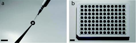 Paper-based Transwell assays: an inexpensive alternative to study cellular invasion - Analyst ...