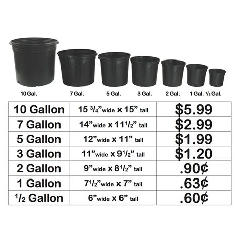 Plant Pot Size Guide