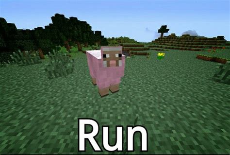 Pink sheep number five billion something something something something. explodingtnt video games ...