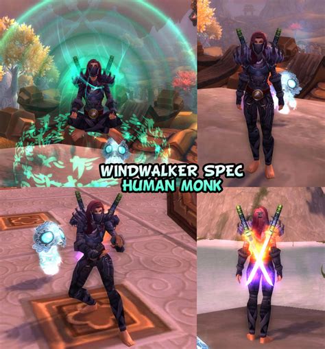 Transmog Sets: Windwalker monk by ColdBrush on DeviantArt