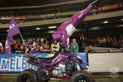 Melbourne Storm Mascot | Mascot, Stationary bike, Bike