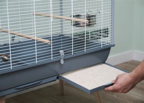 Cleaning a Bird Cage — A Complete How-to Guide