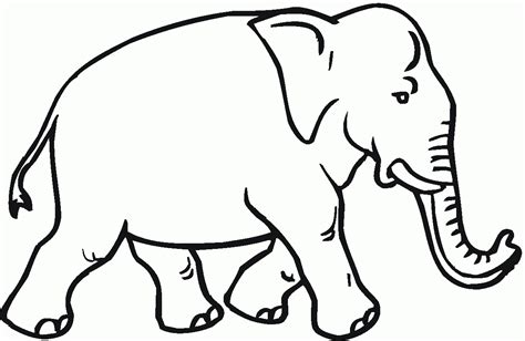 Indian Elephant Line Drawing at GetDrawings | Free download