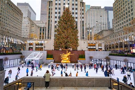 15+ CAPTIVATING Christmas Trees in NYC & Where to Find Them