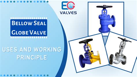 Bellow Seal Globe Valve: Uses and Working Principle - EG Valves