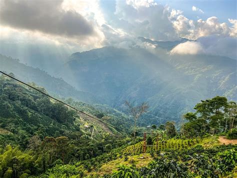 Colombia Mountains Trees - Free photo on Pixabay