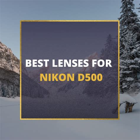 📸 5 MUST-OWN Lenses For Nikon D500 In 2024 [Guide]