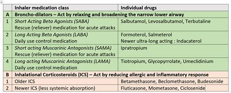 Asthma and Bronchitis are common respiratory conditions - Drvarsha