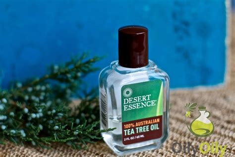 Tea Tree Oil for Warts Removal: Will it Help? - Oilypedia.com