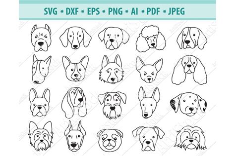 Dog Face Svg, Puppy portrait Svg, Dogs breeds Png, (1735888)