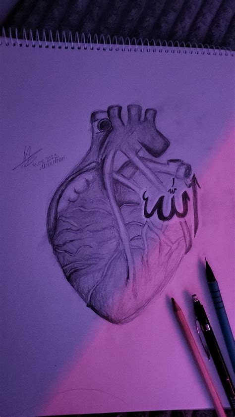 Pin by Alisa Suleymani on Drawings