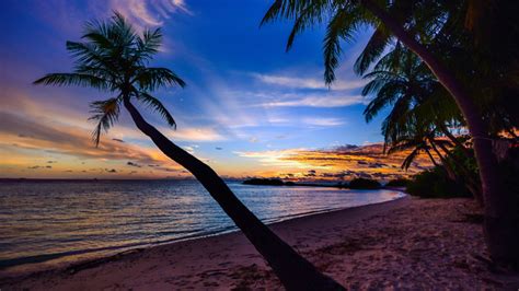 Coconut Trees Beach Clouds Wallpaper,HD Nature Wallpapers,4k Wallpapers ...