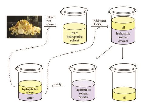 The process of SHSs used for soybean oil extraction from soybean flakes ...