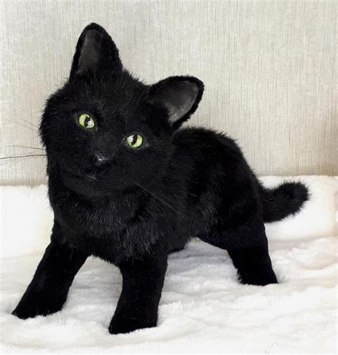 Realistic toy black cat . plush cat collectible toy by Galina Popova ...