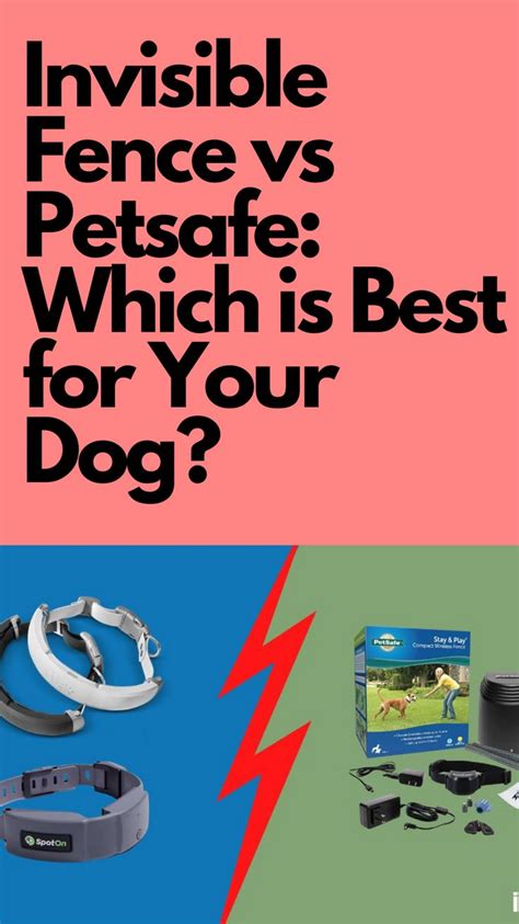 Invisible Fence vs Petsafe: Which is Best for Your Dog? | Invisible fence, Wireless dog fence, Fence