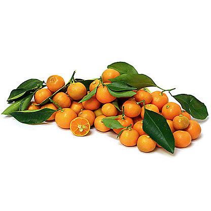 Fresh Calamondin Citrus Fruit, LB – Central Market