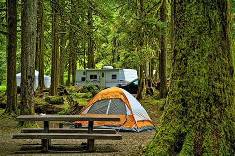 35 Best Smoky Mountain National Park Campgrounds & RV Parks