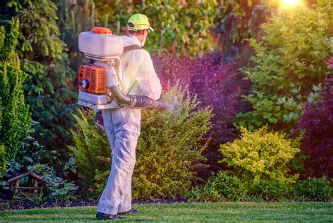 The 5 things to ask your residential exterminator - AZ Big Media