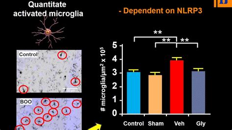 ICS 2020 Abstract #202 A possible mechanism underlying mood disorders associated with LUTS ...