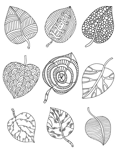 Fun Fall Leaves Coloring Pages for Kids and Adults
