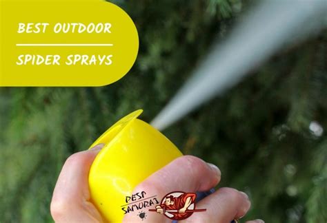 Outdoor Spider Control: 7 Best Outdoor Spider Sprays Review - Pest Samurai