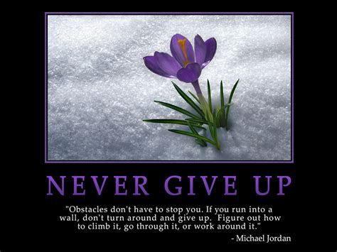 Never Give Up Motivational wallpaper : Obstacles don't have to stop you | Dont Give Up World