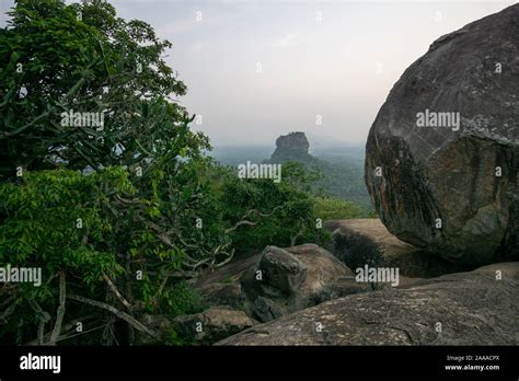 View at the sigiriya rock from the pidurangala rock sri lanka lion rock ...