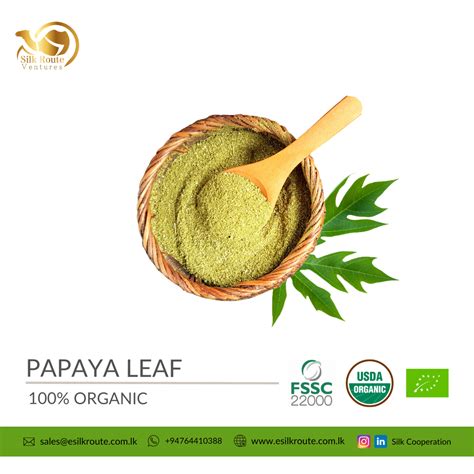 Organic Papaya Leaf Powder | Ekowarehouse