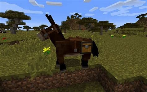 How to get mules in Minecraft