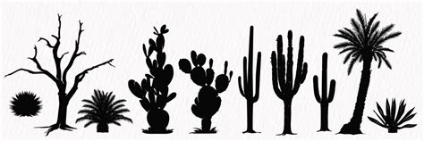 Premium Vector | Silhouette set of desert plants desert trees cactus coconut tree palm century plant