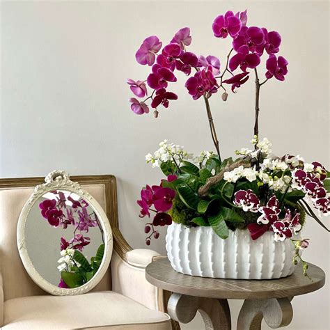 Purple Orchids Wonderland - Black Petals Flowers Shop Dubai