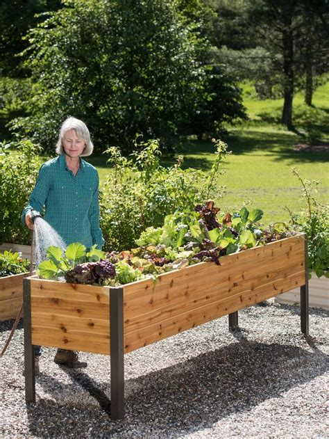 Self-Watering Eco-Stained Elevated Cedar Planter | Gardeners.com | Elevated garden beds, Raised ...