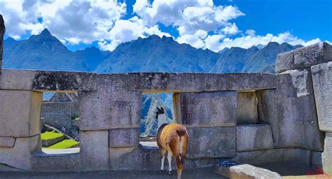 Machu Picchu Tour 2 Days, Machu Picchu By Train - Peru Summit