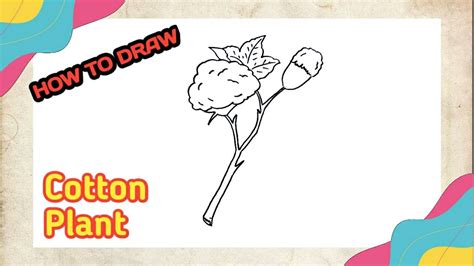 Cotton Plant Drawing For Kids