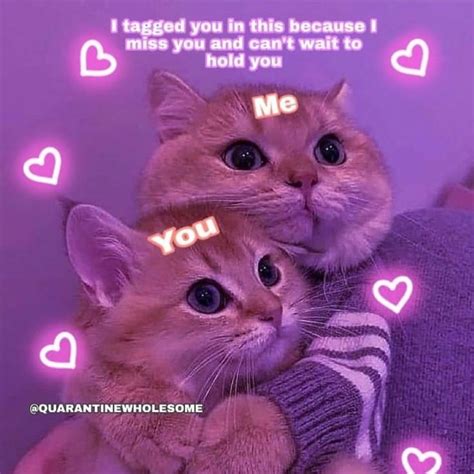 Me & You Wholesome | Cute cats, Cute cats and dogs, Cute memes