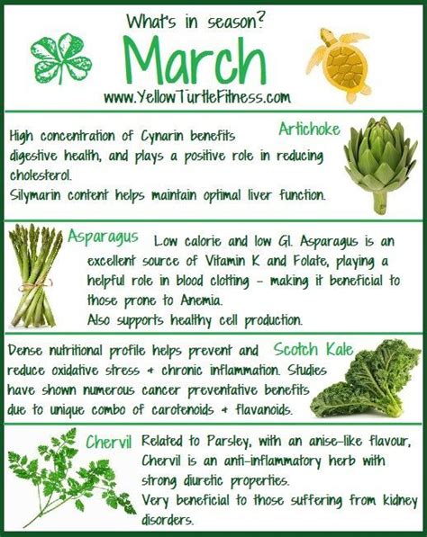 Top Foods to Eat in March in 2020 | In season produce, Healthy ...