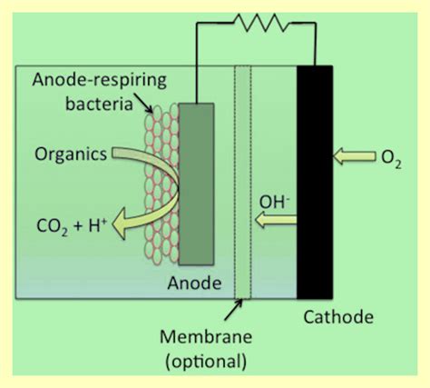 File:Microbial fuel cell.jpg - microbewiki