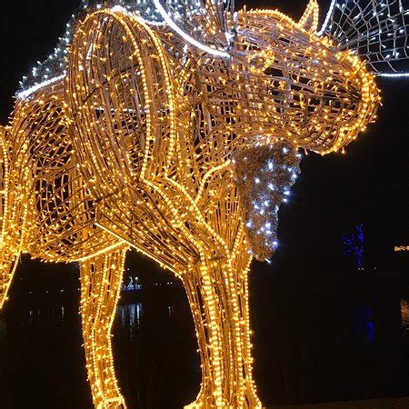 Winter Festival of Lights (Niagara Falls) - 2019 All You Need to Know BEFORE You Go (with Photos ...